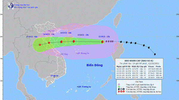 Dự báo bão số 8 sẽ đổ bộ vào đất liền các tỉnh từ Thanh Hóa đến Quảng Bình