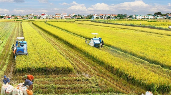 Quy hoạch sử dụng đất quốc gia thời kỳ 2021 - 2030: Giữ ổn định 3,5 triệu ha đất trồng lúa