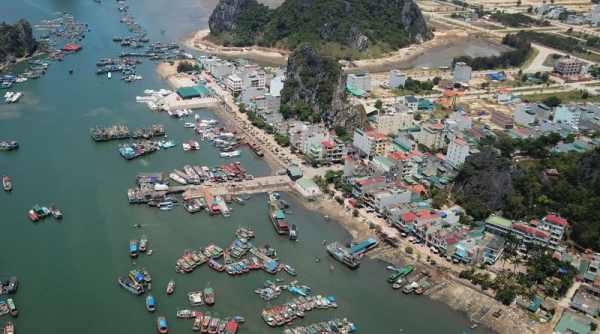 Huyện Vân Đồn (Quảng Ninh): Tạo động lực phát triển kinh tế thị trấn Cái Rồng