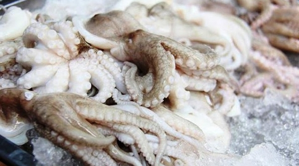 8 tháng đầu năm, xuất khẩu mực, bạch tuộc sang EU tăng 39%