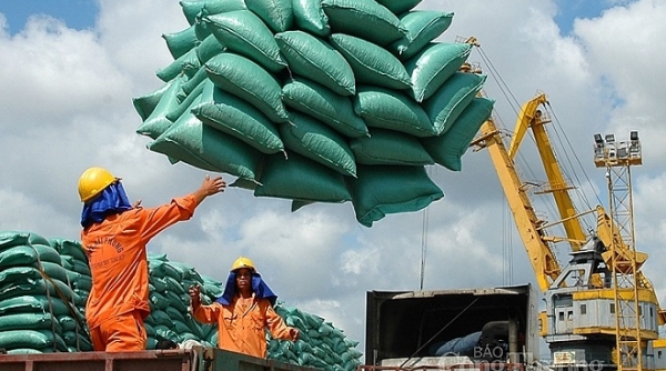 Nghị quyết 128 gỡ “nút thắt” thiếu lao động cho doanh nghiệp xuất khẩu gạo