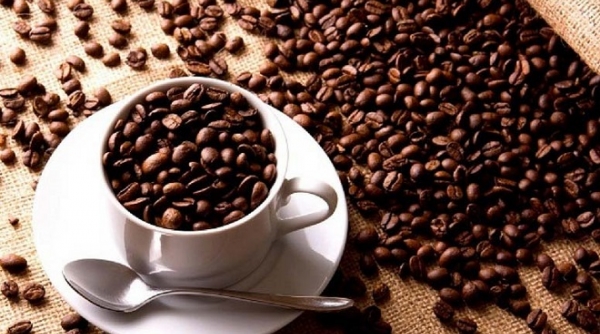Giá cà phê ngày 18/10: Dự báo giá tiếp tục tăng mạnh