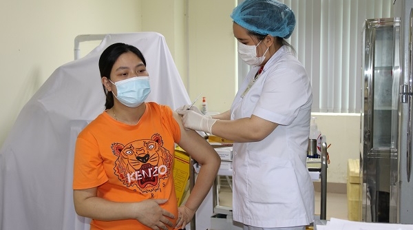 Lào Cai: Đảm bảo an toàn tiêm chủng cho phụ nữ mang thai và người có bệnh nền