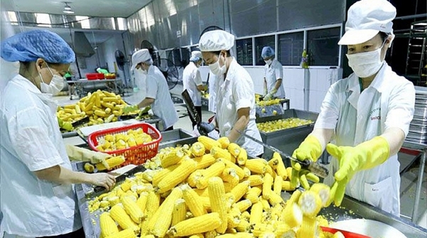 Doanh nghiệp Việt cần liên kết để chinh phục thị trường châu Âu