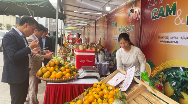 Hưng Yên: Tăng cường kết nối, liên kết để mở rộng thị trường tiêu thụ quả và sản phẩm cây có múi