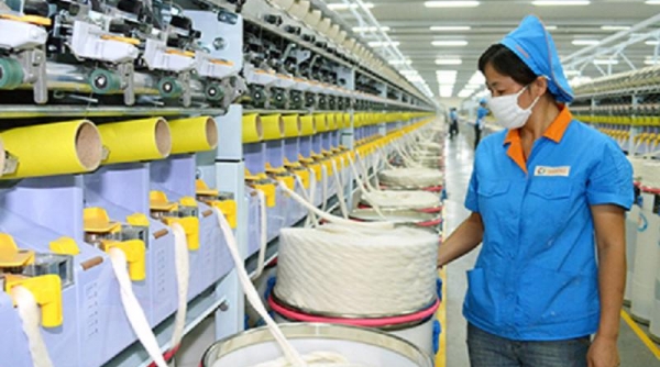 Mỹ kết luận biên độ phá giá sợi dún polyester của Việt Nam