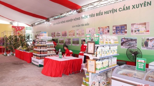 Hà Tĩnh tổ chức “Phiên chợ OCOP” trực tuyến hàng tuần