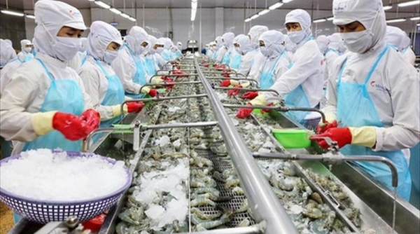 96% DN khu chế xuất, khu công nghiệp tại TP. Hồ Chí Minh hoạt động trở lại