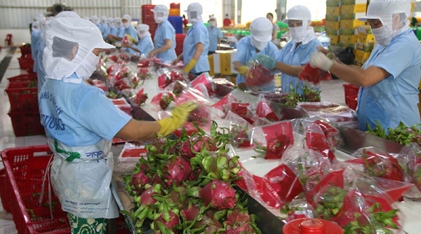 Bộ Công Thương hoàn tất đăng ký doanh nghiệp sản xuất thực phẩm xuất khẩu đi Trung Quốc
