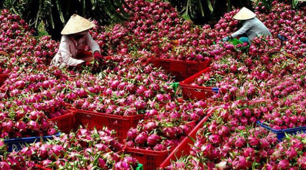 Doanh nghiệp cần nhanh chóng thích ứng với quy định mới trong xuất khẩu nông sản vào Trung Quốc
