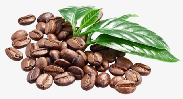Giá cà phê ngày 10/11: Giao dịch trong khoảng 39.500 - 40.500 đồng/kg