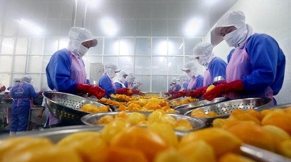 Rau quả chế biến của Việt Nam rộng đường xuất khẩu