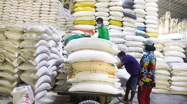 Xuất cấp hơn 26,8 nghìn tấn gạo dự trữ quốc gia để hỗ trợ học sinh khó khăn