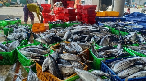 Viêt Nam xuất khẩu gần 30 nghìn tấn cá ngừ sang Mỹ trong 9 tháng