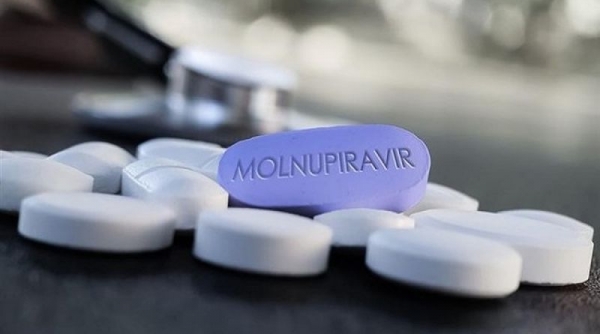 Hai công ty dược nước ngoài đồng ý nhượng quyền sản xuất thuốc điều trị Covid-19