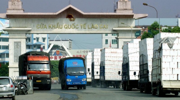 Doanh nghiệp nông sản Việt Nam cần đăng ký mã xuất khẩu sang Trung Quốc trước ngày 01/12