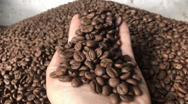 Giá nông sản hôm nay 29/11: Tiêu nối dài đà tăng, cà phê trong nước duy trì ổn định