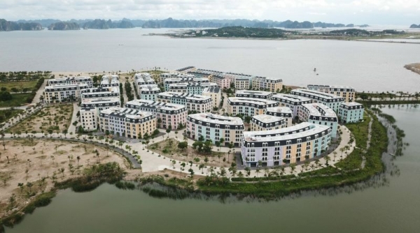 Công ty cổ phần Đầu tư phát triển Syrena Việt Nam trúng đấu thầu lô đất 5,5ha tại Quảng Ninh