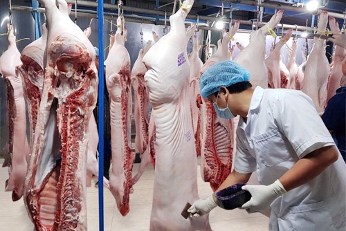 Tháng 10/2021 Việt Nam xuất khẩu thịt lợn sang Trung Quốc 2,99 nghìn tấn