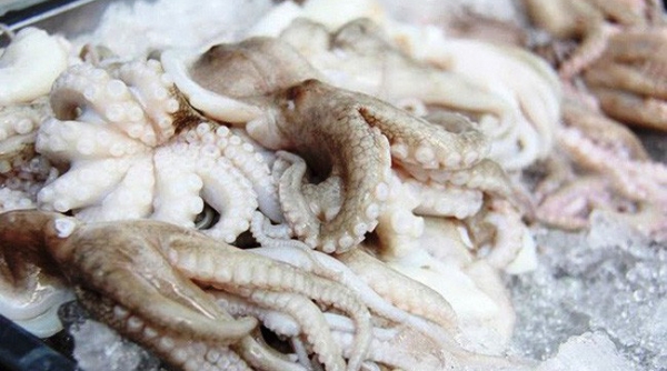Hàn Quốc nhập khẩu bạch tuộc đông lạnh nhiều nhất từ Việt Nam