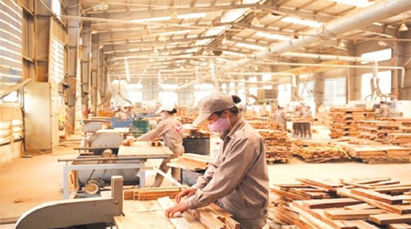 Hoạt động xuất khẩu của ngành gỗ tăng liên tiếp