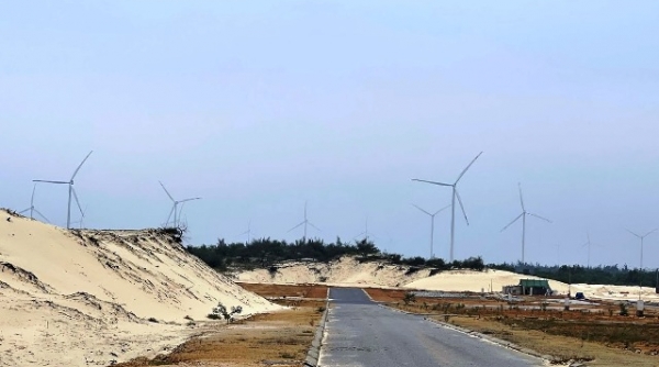 Ngăn chặn “nạn” khai thác cát trái phép trong khu vực cụm Trang trại Điện gió B&T