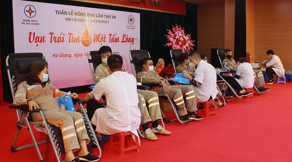 Công ty Điện lực Hà Giang tổ chức chương trình hiến máu nhân đạo "Tuần lễ hồng EVN"