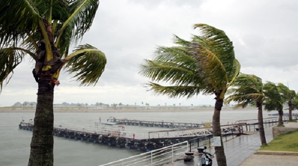 Quảng Ninh đến Quảng Bình chủ động ứng phó với gió mạnh trên biển