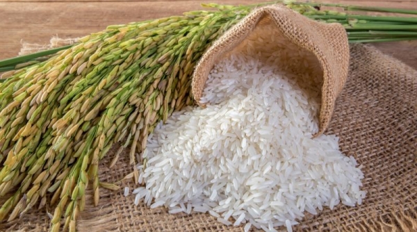 Giá gạo xuất khẩu Ấn Độ giảm xuống thấp nhất trong 05 năm