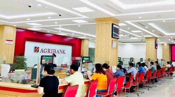 NHNN tập trung đẩy nhanh tiến độ cổ phần hóa đối với Ngân hàng Agribank