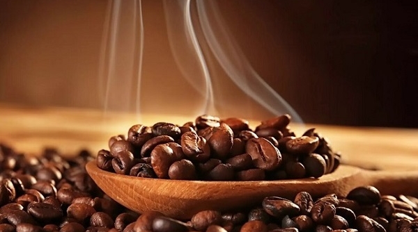 Giá cà phê ngày 15/12: Dao động trong khoảng từ 40.700 - 41.600 đồng/kg