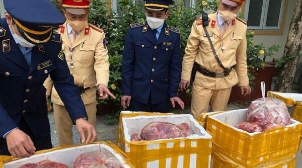 Phát hiện hơn 800 kg thịt lợn, gà bốc mùi hôi thối tại Nghệ An