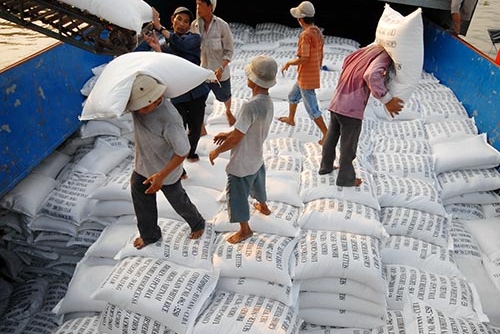 Giá gạo xuất khẩu Việt Nam xuống đáy 03 tháng vì nhu cầu yếu