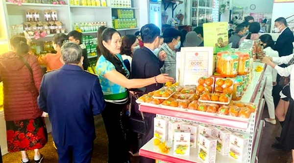 Khai trương điểm bán hàng Việt Nam tại Yên Bái