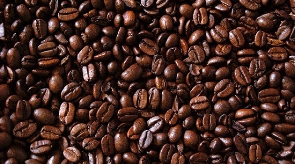 Giá cà phê ngày 31/12: Trong khoảng 40.800 - 41.600 đồng/kg