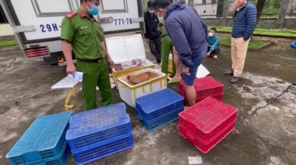 Quảng Nam: Bắt 02 vụ vận chuyển trái phép pháo lậu và động vật hoang dã