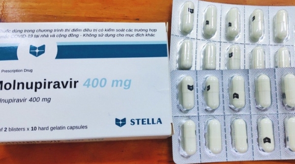 Tiếp tục tăng cường kiểm tra, xử lý vi phạm trong kinh doanh thuốc điều trị Covid-19