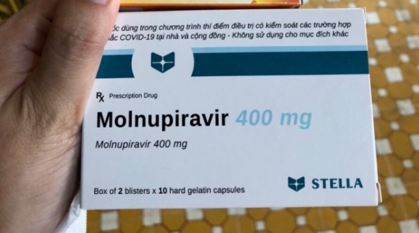 Nóng: Thông tin cảnh báo, thận trọng khi dùng thuốc điều trị Covid-19 Molnupiravir