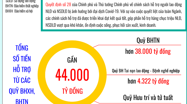 [Infographic] Kết quả thực hiện các chính sách hỗ trợ do ngành BHXH Việt Nam thực hiện trong năm 2021