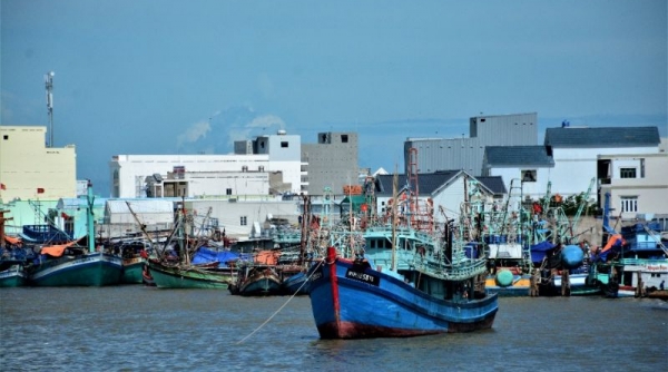 TP. HCM tăng cường công tác phòng cháy chữa cháy tại cảng cá, tàu cá và khu neo đậu