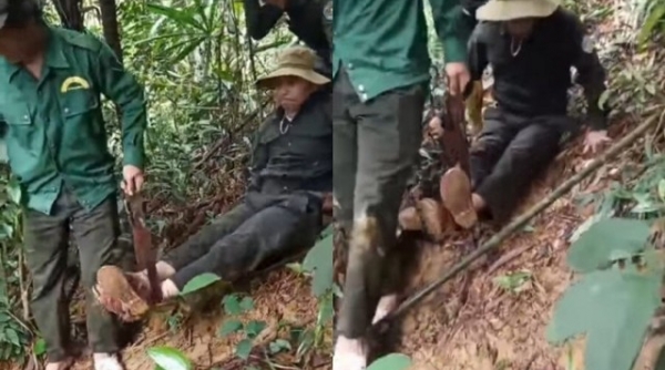 Thừa Thiên Huế: Xử lý trách nhiệm nếu buông lỏng quản lý đất rừng