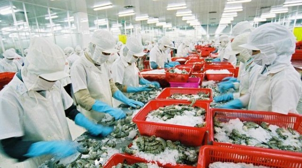 Hàng nông thủy sản - thực phẩm Việt Nam có nhiều tiềm năng xuất khẩu sang Nhật Bản