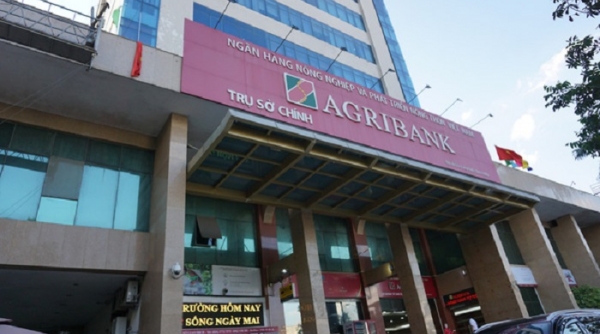 Agribank và các ngân hàng Việt Nam đều có bước thăng tiến lớn về giá trị thương hiệu