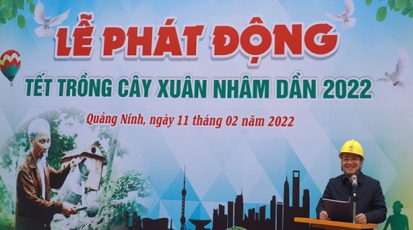 PC Quảng Ninh hưởng ứng Tết trồng cây Xuân Nhâm Dần năm 2022