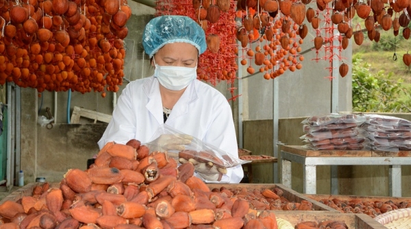 Kết nối phân phối nông sản, mỹ nghệ “tinh hoa hàng Việt”