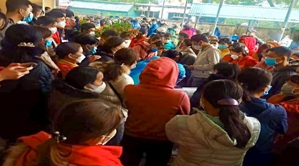 Sở Y tế Thanh Hóa lên tiếng về vụ việc test nhanh Covid-19 trên địa bàn thị xã Nghi Sơn