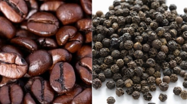 Giá nông sản hôm nay 26/2: Cà phê rớt giá, hồ tiêu tăng nhẹ