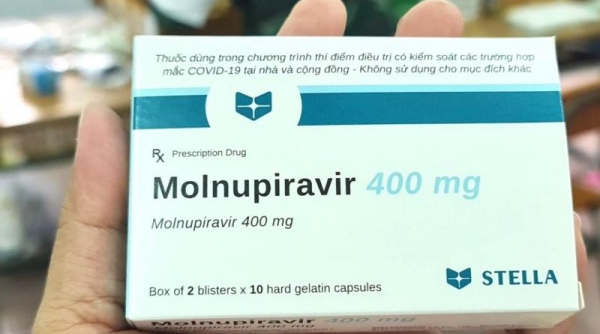 Đối tượng nào được dùng thuốc Molnupiravir để điều trị Covid-19