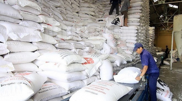 Chính phủ hỗ trợ gạo cho 03 tỉnh gặp khó khăn do dịch Covid-19