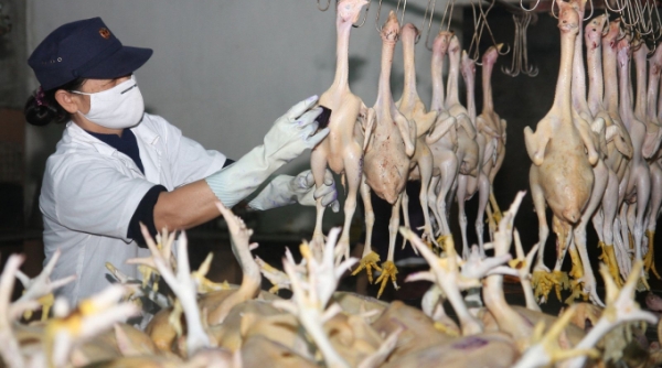 TP. Hồ Chí Minh tăng cường kiểm soát động vật từ các tỉnh nhập vào tiêu thụ